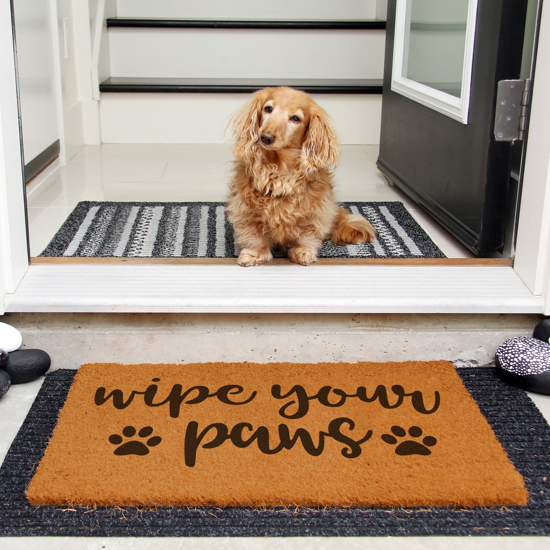 Pet Gifts