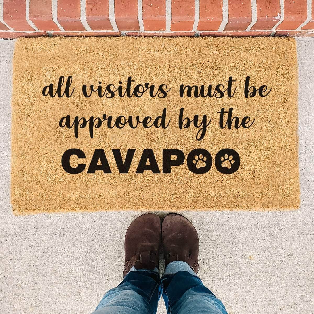 Approved by the Cavapoo - Doormat